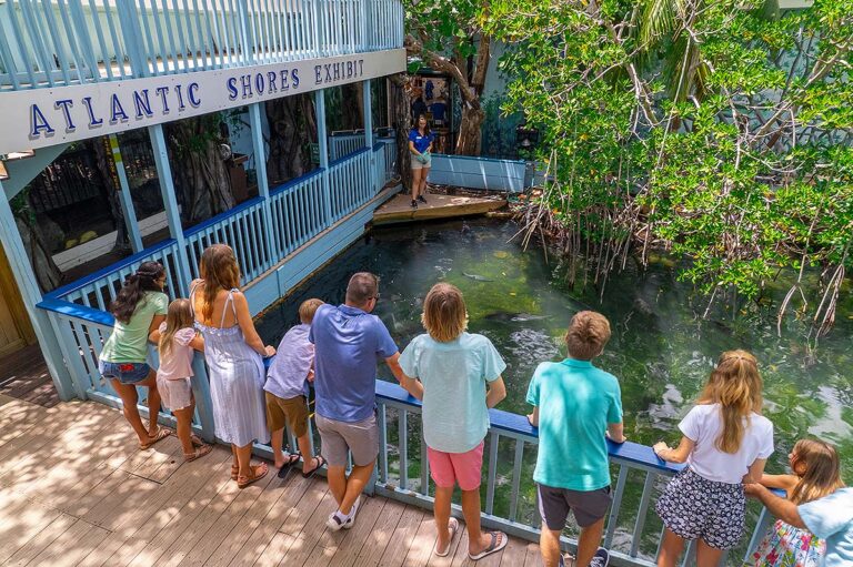 Key West Aquarium guests at Atlantic Shores Exhibit