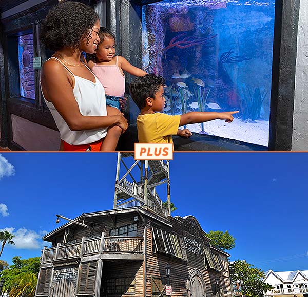 Top picture: guests in looking at Key West Aquarium fish tank; bottom picture: Key West Shipwreck Treasure Museum