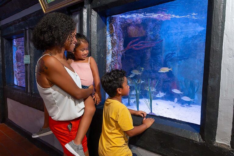 Family at Key West Aquarium tank exhibit