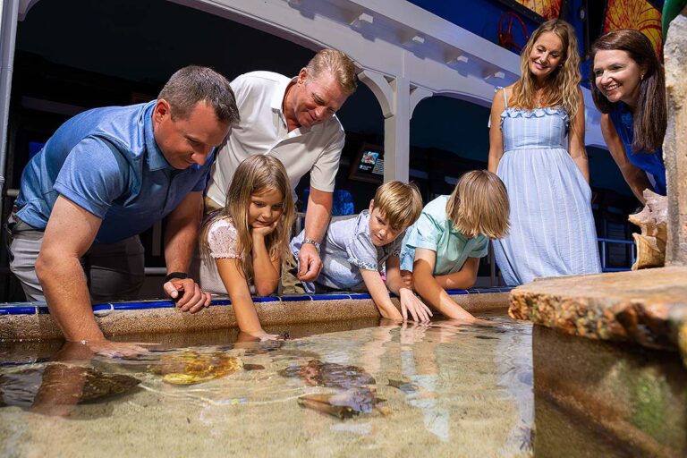 guests at Key West Aquarium touch tank