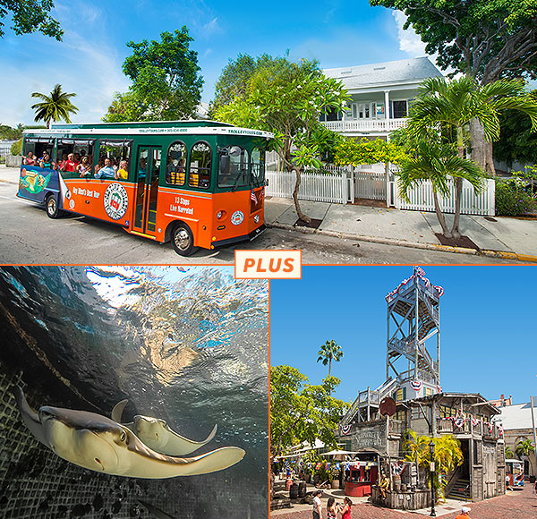 Top picture: Key West Old Town Trolley; Bottom left picture: stingray at Key West Aquarium; bottom right picture: Key West Shipwreck Treasure Museum
