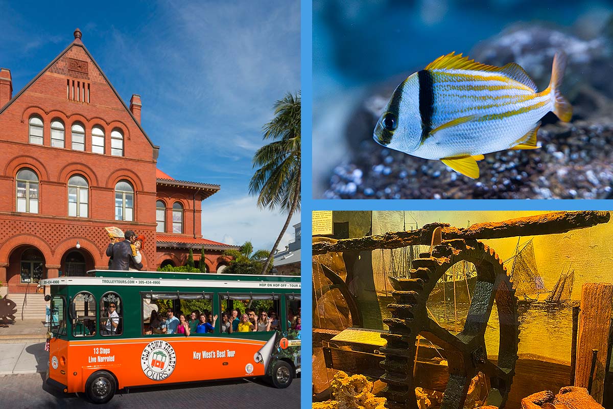 Key West trolley, Aquarium fish and Shipwreck Museum exhibit