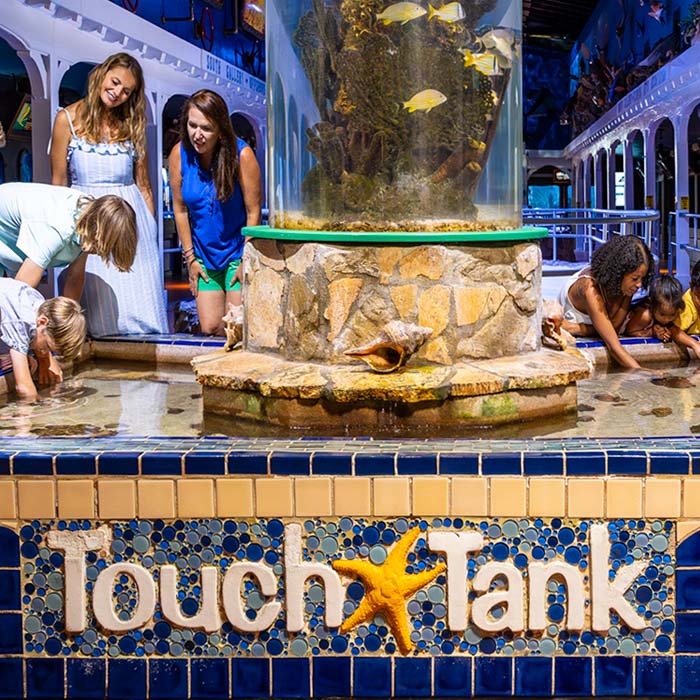 Key West Aquarium Touch Tank