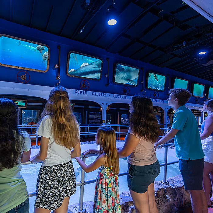 guests at Key West Aquarium