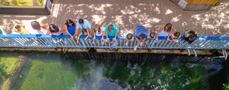guests at Key West Aquarium shores exhibit