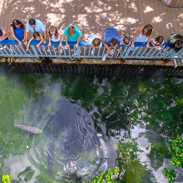 guests at Key West Aquarium shores exhibit