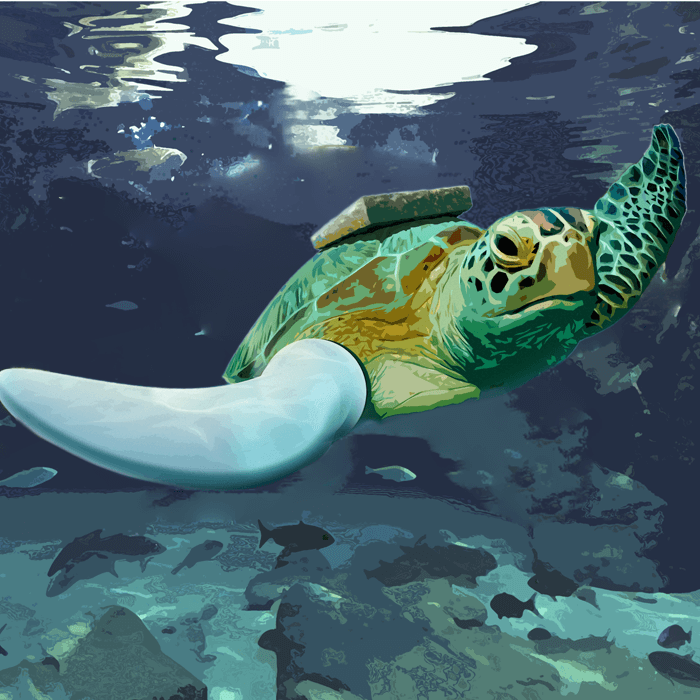rocky the sea turtle illustration