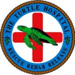 florida keys sea turtle hospital