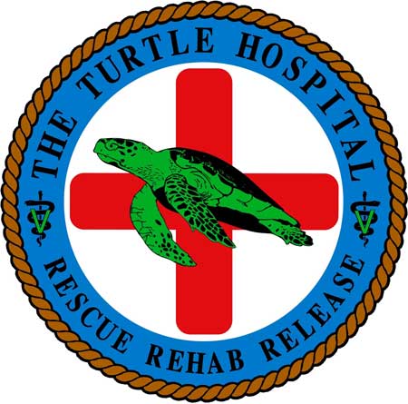 florida keys sea turtle hospital