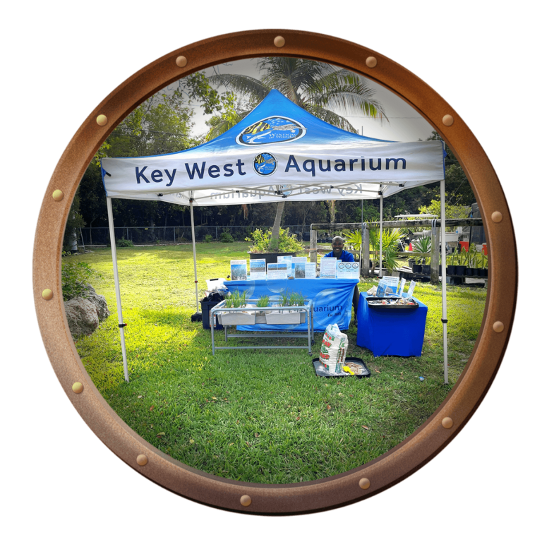 key west aquarium offsite educational programs