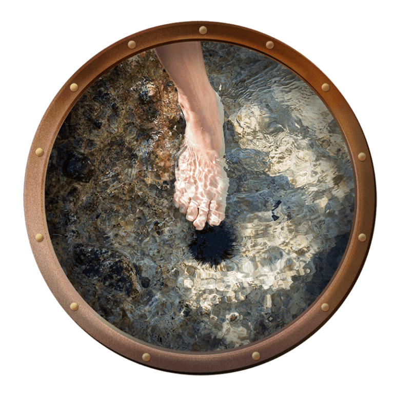 someone stepping on a sea urchin in the ocean