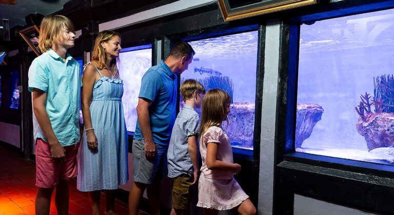 Family viewing tanks at Key West Aquarium