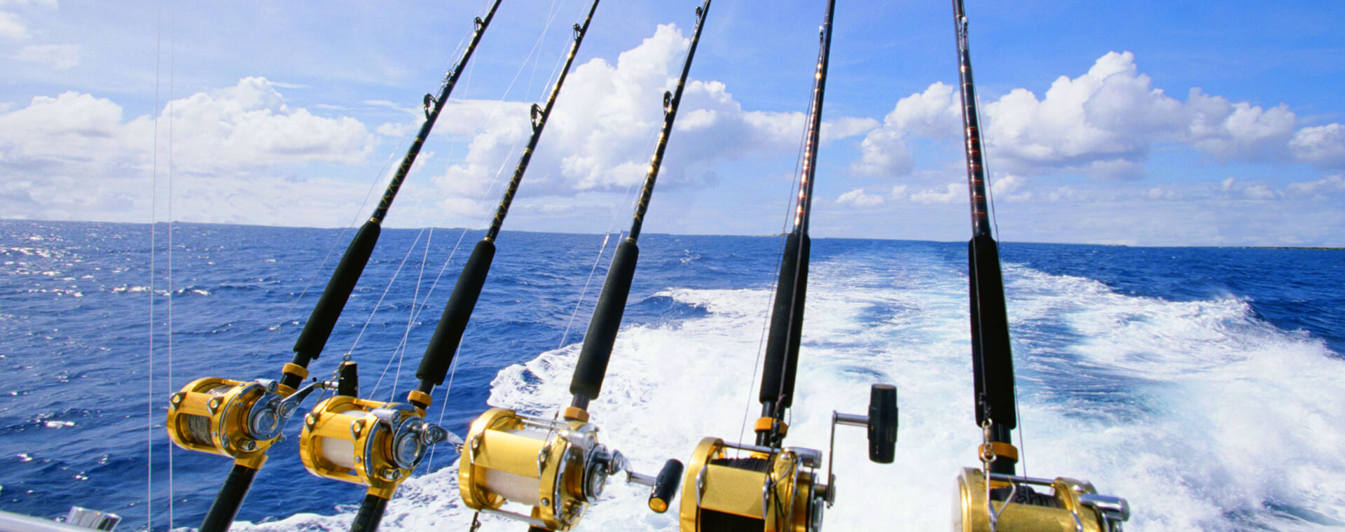 Ultimate Guide To Fishing In The Florida Keys image