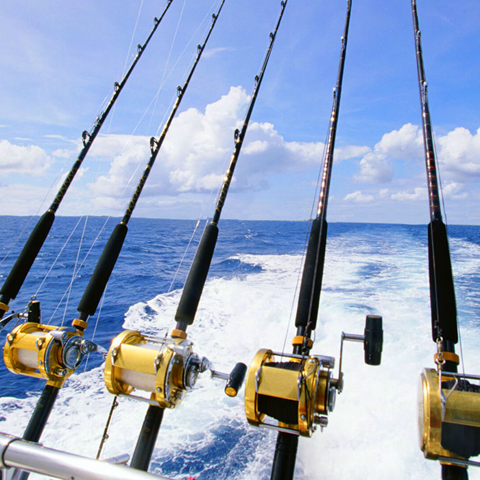 open sea and fishing rods