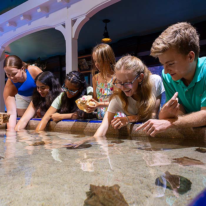 kids at Key West Aquarium touch tank