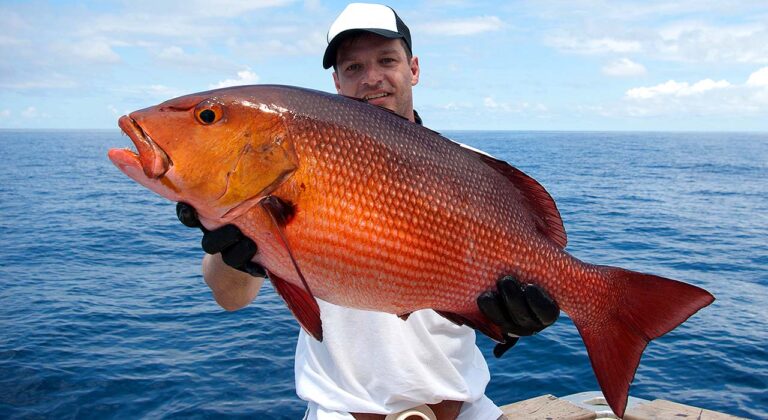 man holding snapper