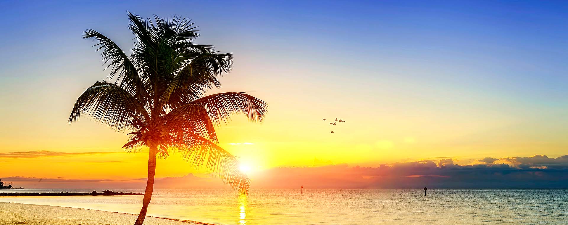 First-Time Visitor’s Guide to Key West image