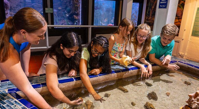 Key West Aquarium