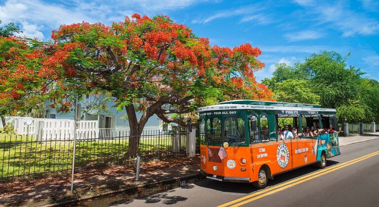Key West Hop-On-Hop-Off Old Town Trolley Tour