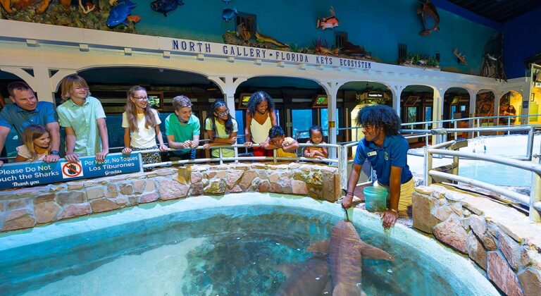 Key West Aquarium