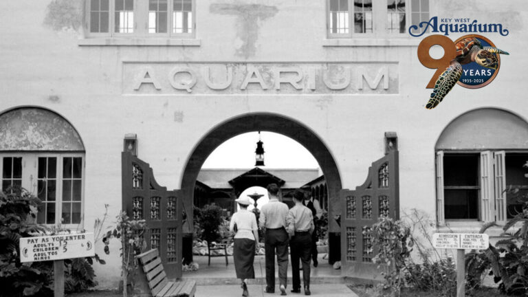 key west aquarium celebrates 90 years